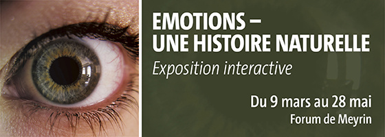 expo-emotions.jpg