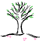 arbre printemps