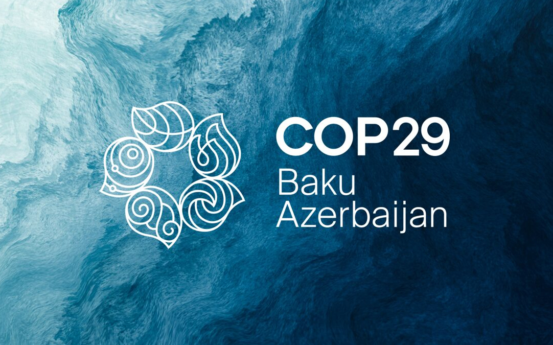 COP29a.jpg