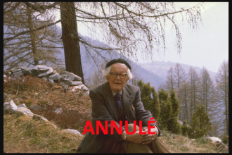 Piaget-seminaires-annulé.png