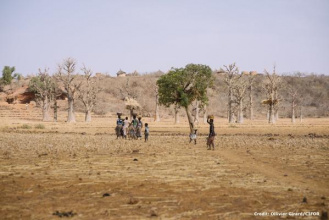 African drylands 599X400.jpg