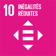 sdg-10.jpg