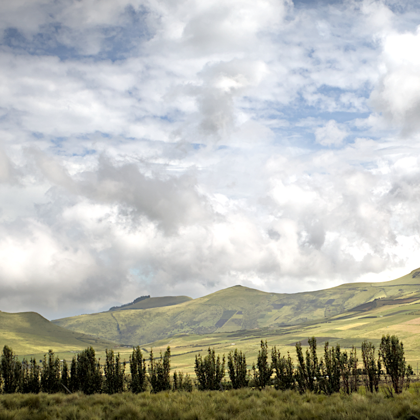 Paramo_Ecuador.jpg