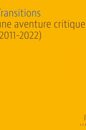 David_Transitions Une aventure critique.jpg