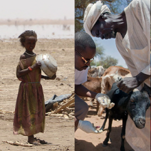 GHF Policy Brief 2025 (002) 1.png