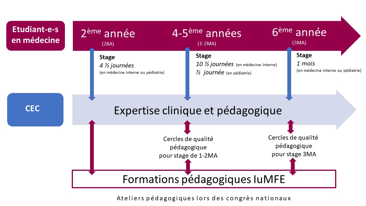 descriptif_parcours_pedagogique_stages_cabinet-2024_2025.jpg