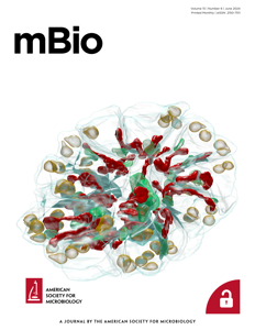 2024_mBio_vol15_issue6_cover_small.png