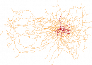 neuroglia_synapsy.png