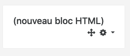 08 Nouveau bloc HTML.png