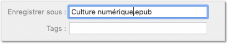 Enregistrement ePub.png