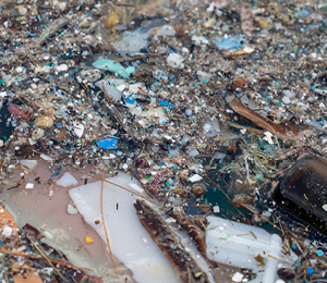 Les microplastiques, cette invisible pollution