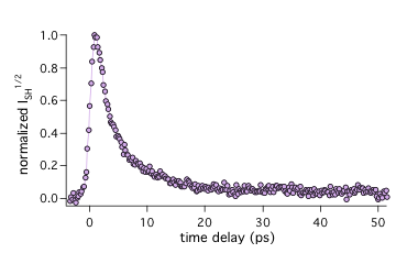  Typical time profile of the TRSSHG signal measured with MG at the decane/water interface.
