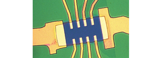 Transistor basé sur une couche de cristal de molybdène